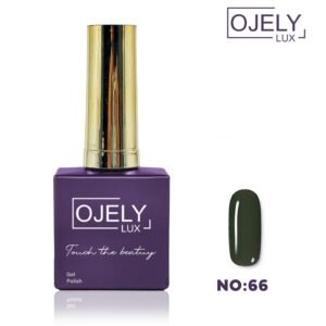 Ojely Lüx Kalıcı Oje 15 ML NO. 66